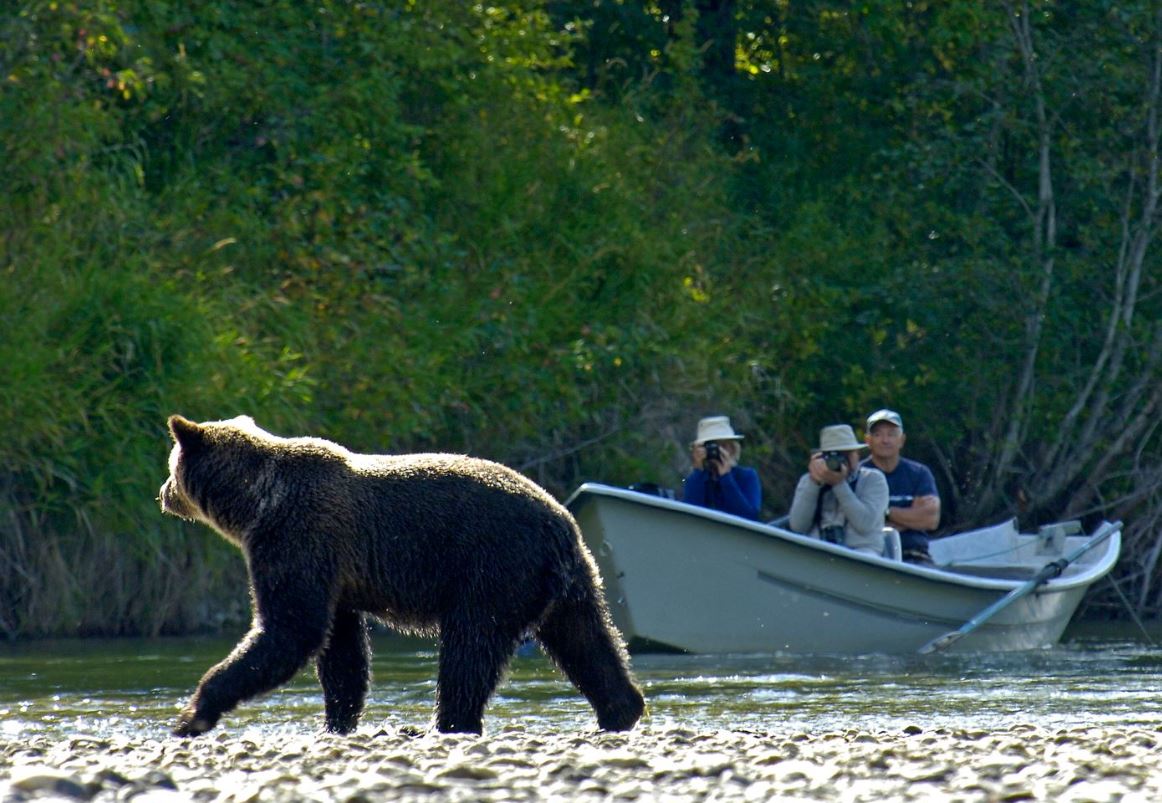 Valley of the Grizzlies