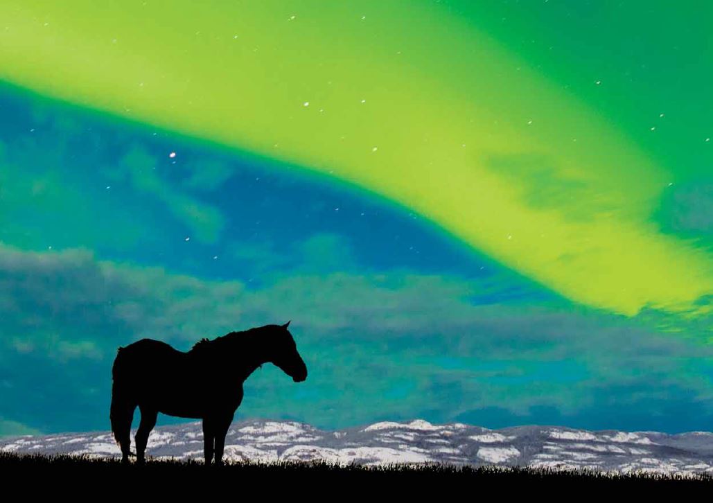 Noorwegen Noorderlicht